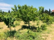 Satılır 17.5 sot torpaq Nardaran