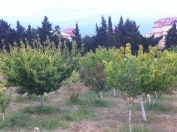 Satılır 17 sot torpaq Nardaran