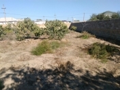 Satılır 12 sot torpaq Pirşağı