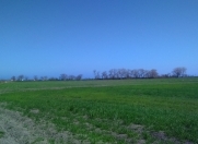 Satılır 400 sot torpaq Xaçmaz