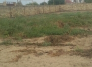 Satılır 12 sot torpaq Bilgəh