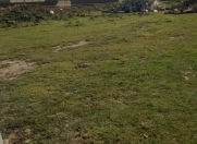 Satılır 4 sot torpaq Qobu