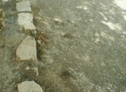 Satılır 2 sot torpaq Y.Suraxanı