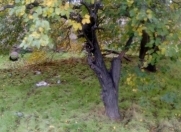 Satılır 7 sot torpaq Binəqədi