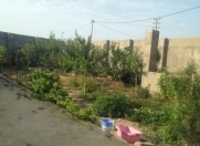 İcarəyə verilir 3 otaqlı 80 m2 bağ evi Pirşağı