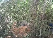 Satılır 4 sot torpaq Xutor