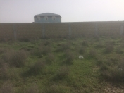 Satılır 9 sot torpaq Pirşağı