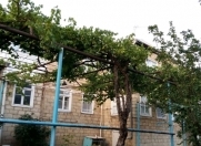 Satılır 8 otaqlı 242 m2 bağ evi Şamaxı