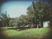 Satılır 40 sot torpaq Quba