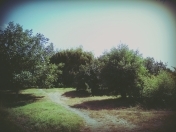 Satılır 15 sot torpaq Quba