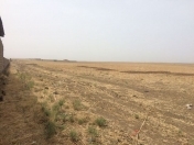 Satılır 1100 sot torpaq Məhəmmədli