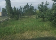 Satılır 12 sot torpaq Quba