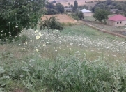 Satılır 24 sot torpaq Quba