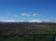 Satılır 100 sot torpaq Quba