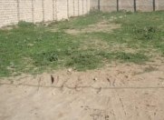 Satılır 11.4 sot torpaq Şüvəlan