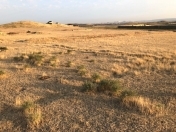 Satılır 8 sot torpaq Fatmayı