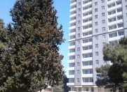 Satılır 3 otaqlı 136 m2 yeni tikili Elmlər Akademiyası m.