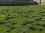 Satılır 5 sot torpaq Hövsan