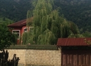 İcarəyə verilir 5 otaqlı 220 m2 həyət evi Qəbələ