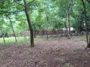 Satılır 20 sot torpaq Quba