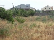 Satılır 20 sot torpaq Albalı