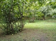 Satılır 4 sot torpaq Qax