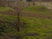 Satılır 12 sot torpaq Nardaran