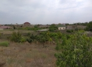 Satılır 25 sot torpaq Nardaran