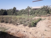 Satılır 5 otaqlı 170 m2 həyət evi Buzovna