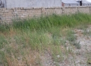 Satılır 6 sot torpaq Sumqayıt