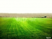 Satılır 3 sot torpaq Sumqayıt