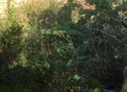 Satılır 6 sot torpaq Qaraçuxur