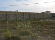 Satılır 15 sot torpaq Albalı