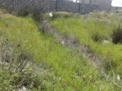 Satılır 2.5 sot torpaq Şuşa