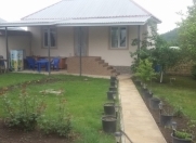 İcarəyə verilir 2 otaqlı 40 m2 bağ evi Qəbələ