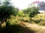 Satılır 9 sot torpaq Binəqədi