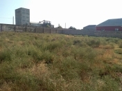 Satılır 10 sot torpaq Mehdiabad