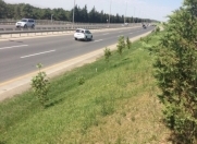 Satılır 3 sot torpaq Saray