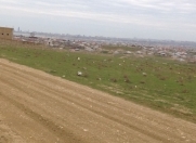 Satılır 8 sot torpaq Fatmayı