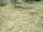 Satılır 2 sot torpaq Y.Suraxanı