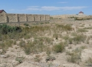 Satılır 6 sot torpaq Sumqayıt