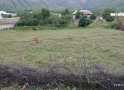 Satılır 12 sot torpaq Şəki