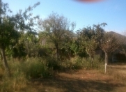 Satılır 5 sot torpaq Saray