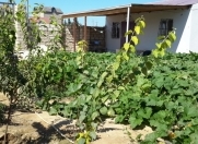 Satılır 2 otaqlı 45 m2 həyət evi Buzovna