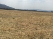 Satılır 74 sot torpaq İsmayıllı