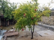 Satılır 4.5 sot torpaq Zərifə Əliyeva adına park