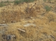 Satılır 6 sot torpaq Hökməli