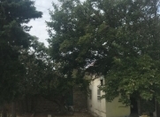 Satılır 6 sot torpaq Bilgəh