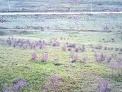 Satılır 4 sot torpaq Xocəsən