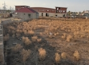 Satılır 45 sot torpaq Hökməli